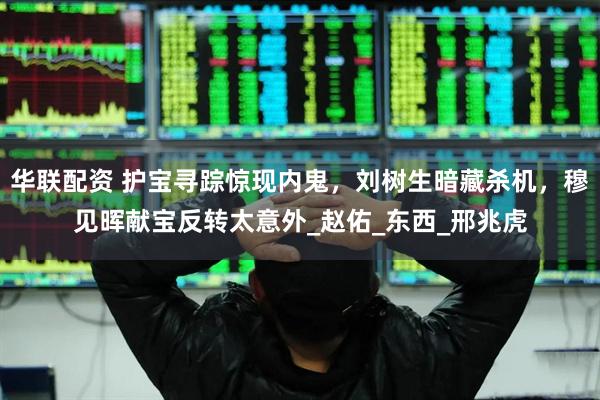 华联配资 护宝寻踪惊现内鬼，刘树生暗藏杀机，穆见晖献宝反转太意外_赵佑_东西_邢兆虎