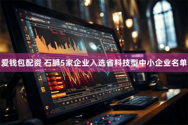 爱钱包配资 石狮5家企业入选省科技型中小企业名单