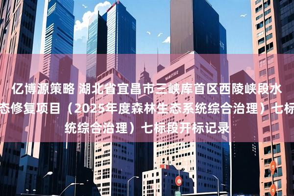 亿博源策略 湖北省宜昌市三峡库首区西陵峡段水土保持与生态修复项目（2025年度森林生态系统综合治理）七标段开标记录