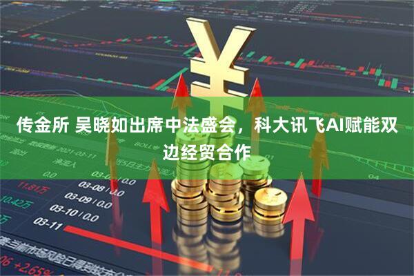 传金所 吴晓如出席中法盛会，科大讯飞AI赋能双边经贸合作