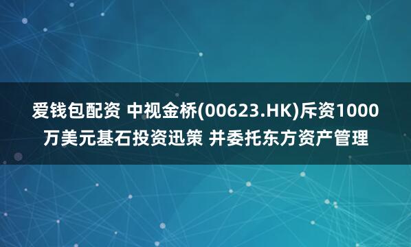 爱钱包配资 中视金桥(00623.HK)斥资1000万美元基石投资迅策 并委托东方资产管理